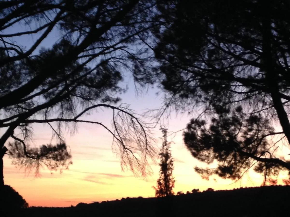 La Picholine En Provence Hotel Nyons
